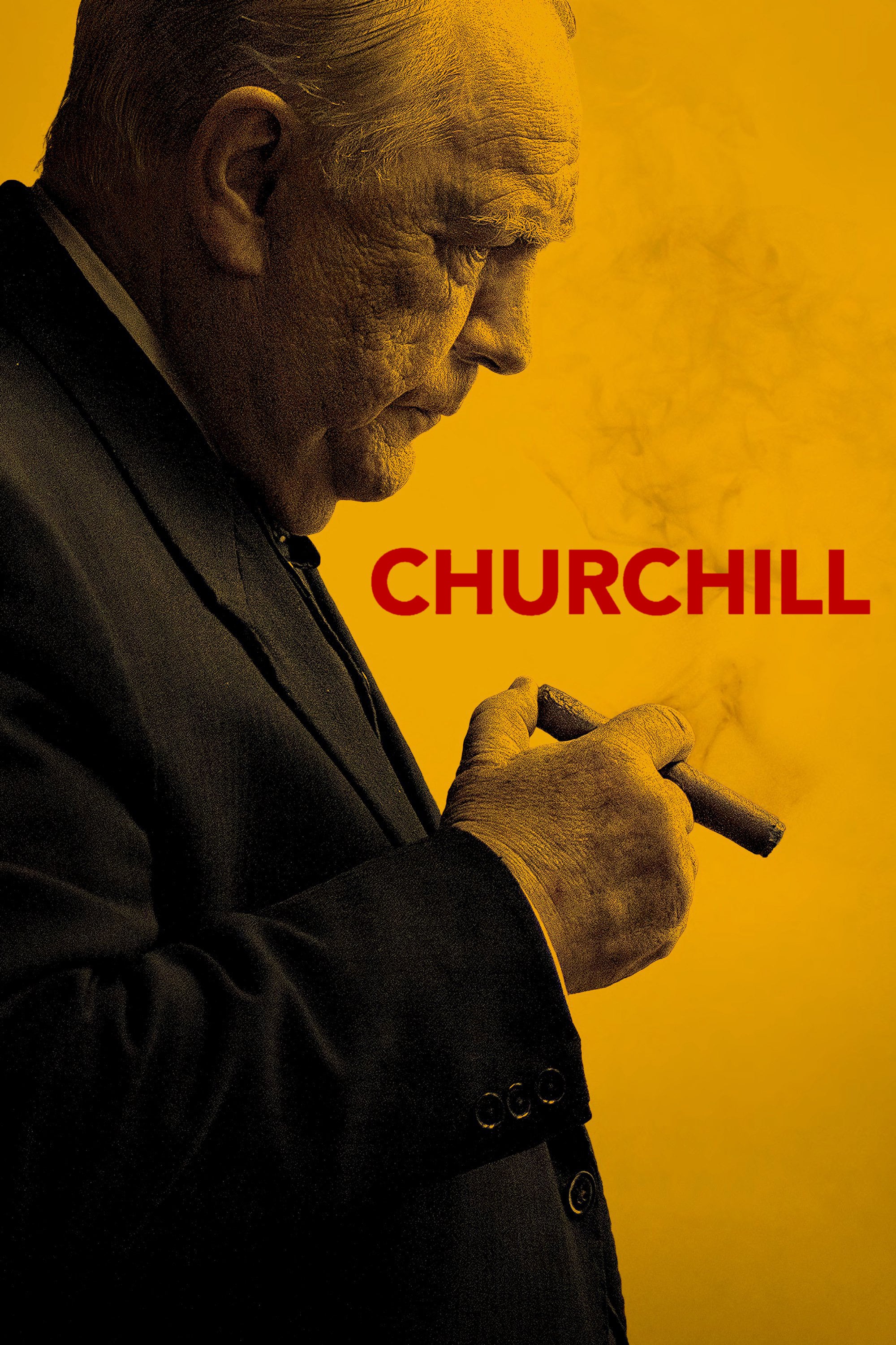 Churchill (2017) [284252] (A1708528624) [[Movies]] --Plex--